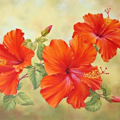 Hibiscus Light - Marianne Broome