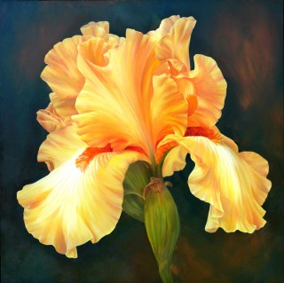 Acrylic Florals - Marianne Broome