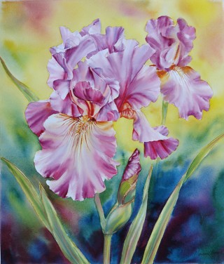 Watercolour Florals - Marianne Broome