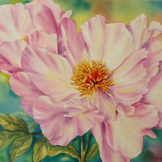 Peony Princess - Marianne Broome