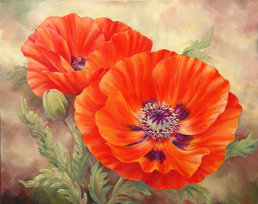 Poppies Today - Marianne Broome